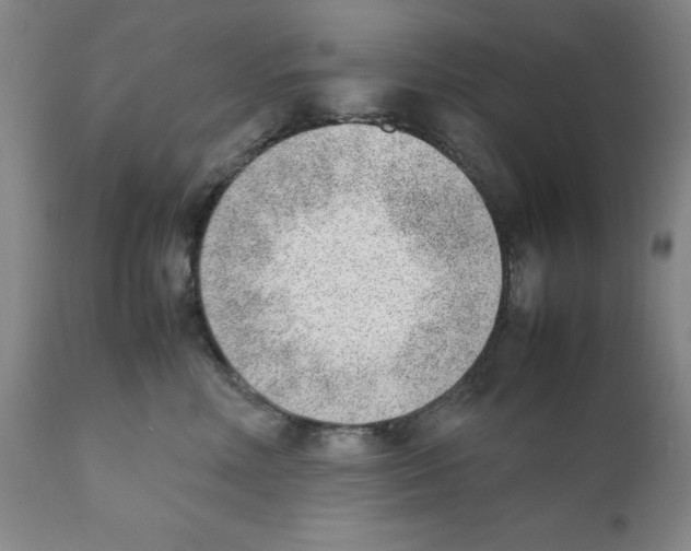 X0000111920618200908241053