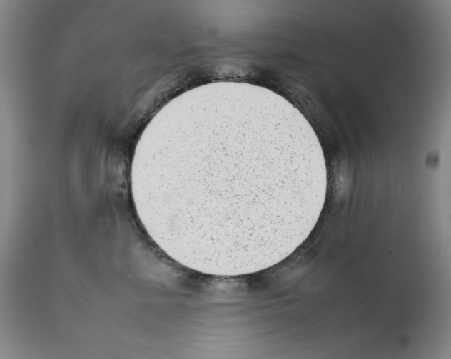 X0000111920619200908241053