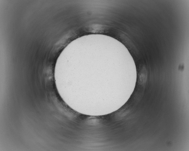 X0000111920620200908241053