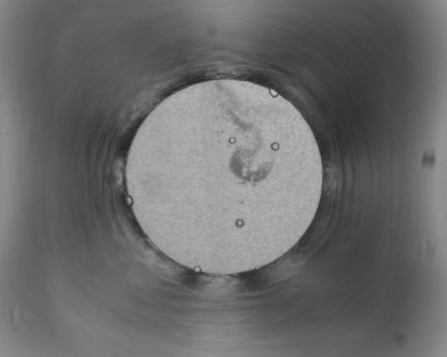 X0000111920621200908241053