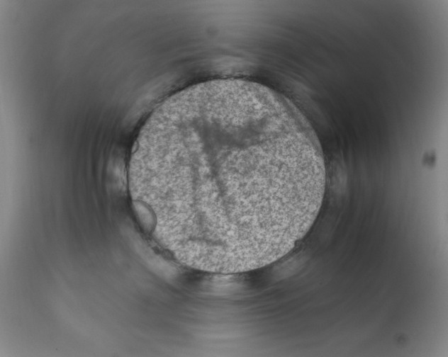 X0000111920622200908241053