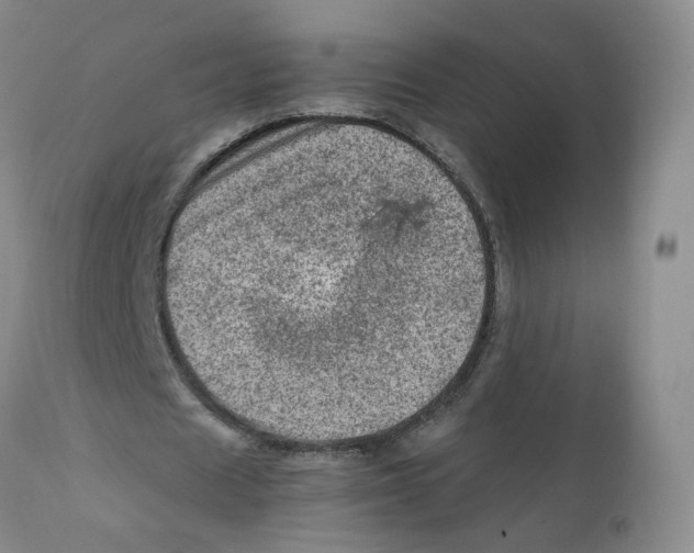 X0000111920625200908241052