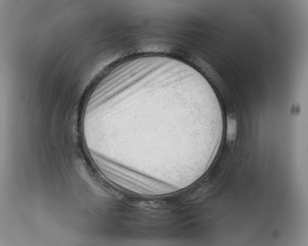 X0000111920627200908241052