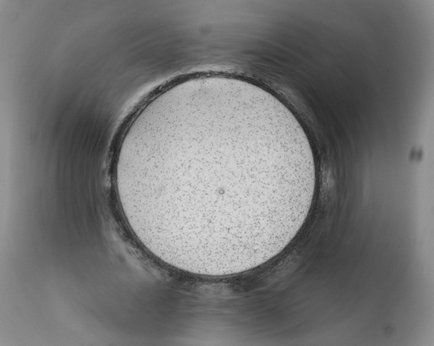 X0000111920628200908241052