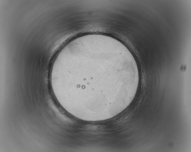 X0000111920629200908241052