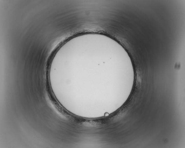 X0000111920630200908241052