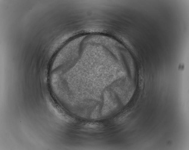 X0000111920631200908241052