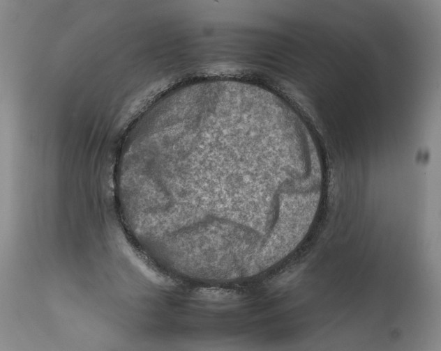 X0000111920633200908241052