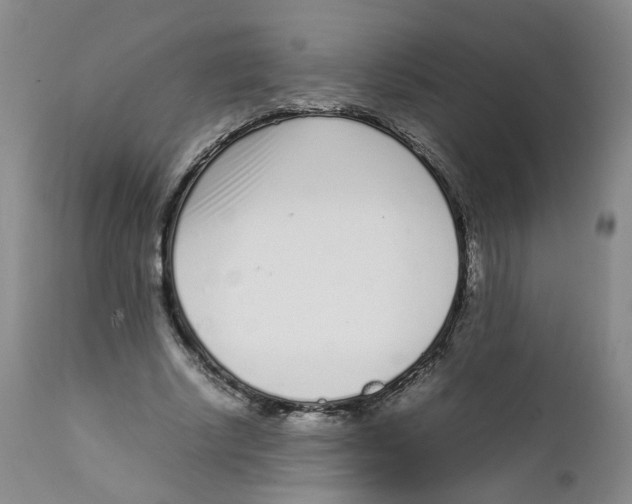 X0000111920634200908241052