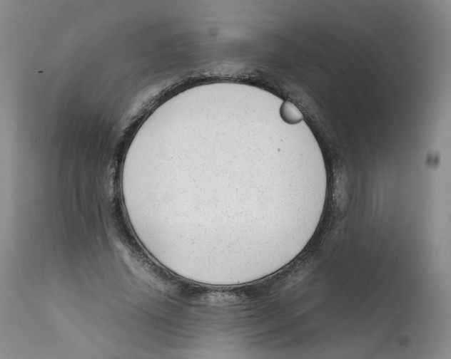 X0000111920636200908241052