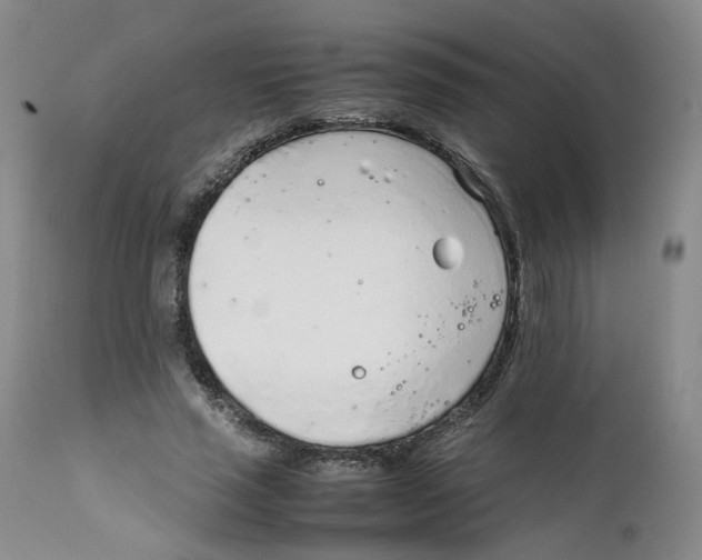 X0000111920637200908241052