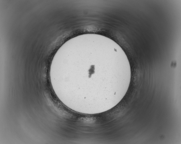 X0000111920639200908241052