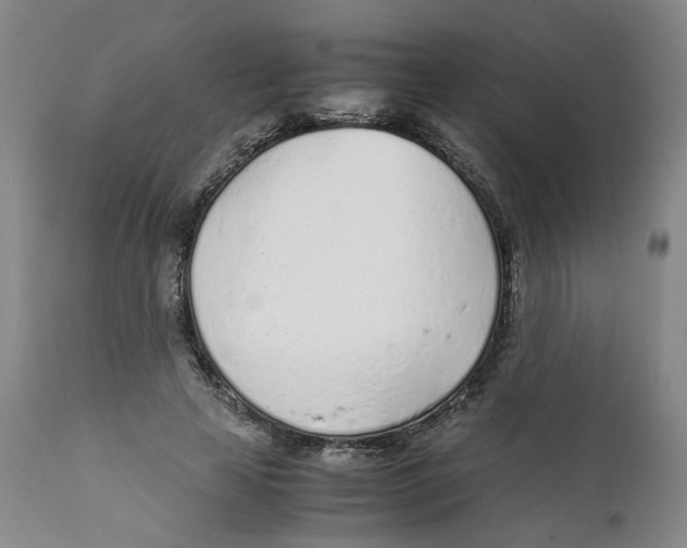 X0000111920641200908241052