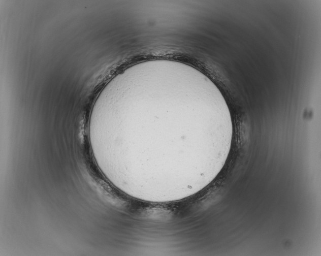 X0000111920644200908241052