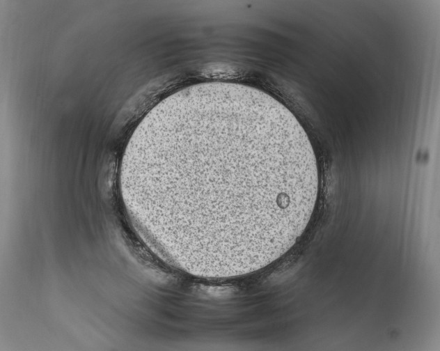 X0000111920645200908241052