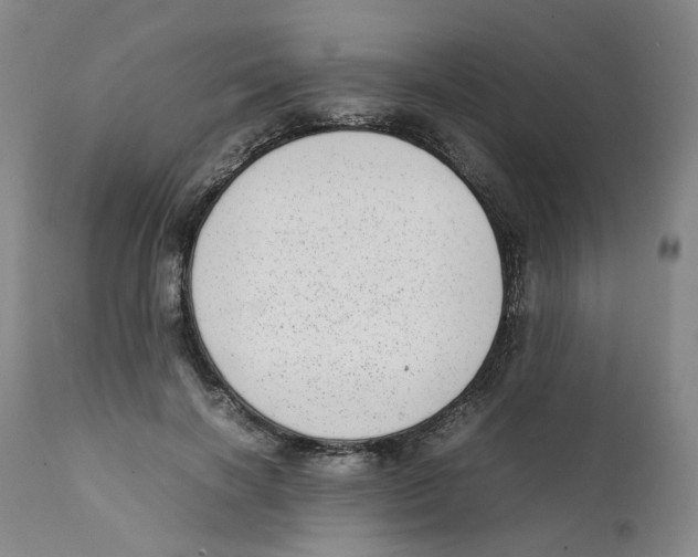 X0000111920646200908241052