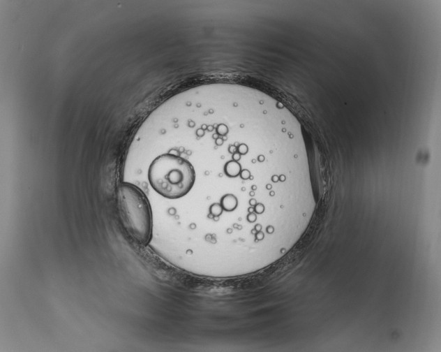 X0000111920647200908241052