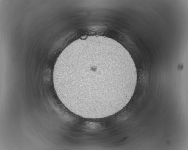 X0000111920649200908241052