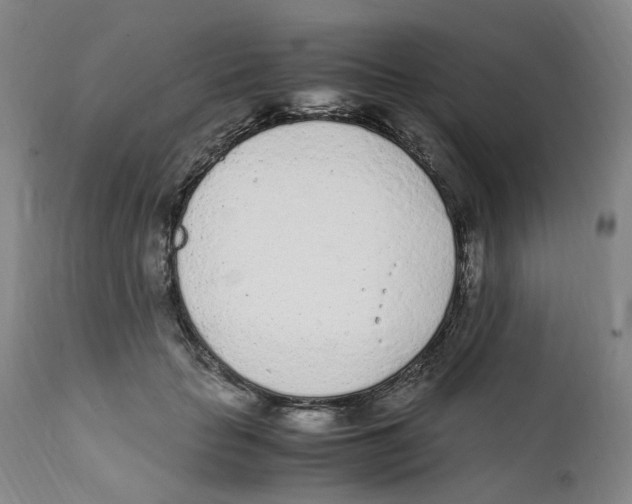 X0000111920653200908241052