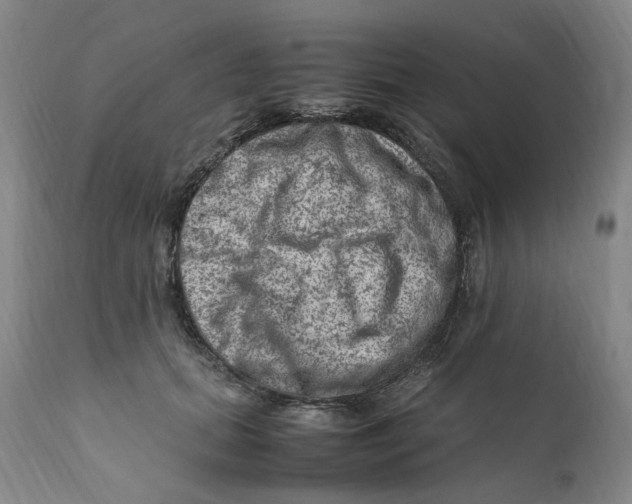 X0000111920655200908241052