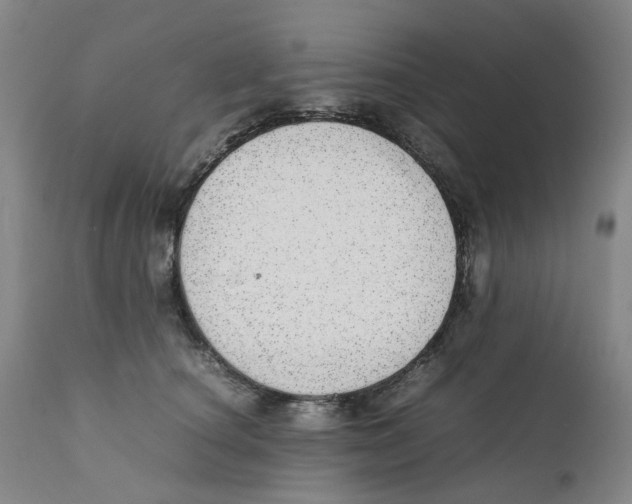 X0000111920660200908241052