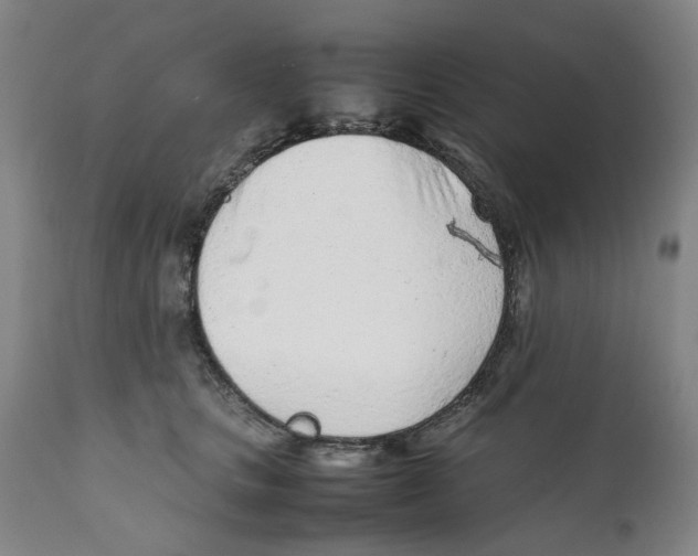 X0000111920661200908241052