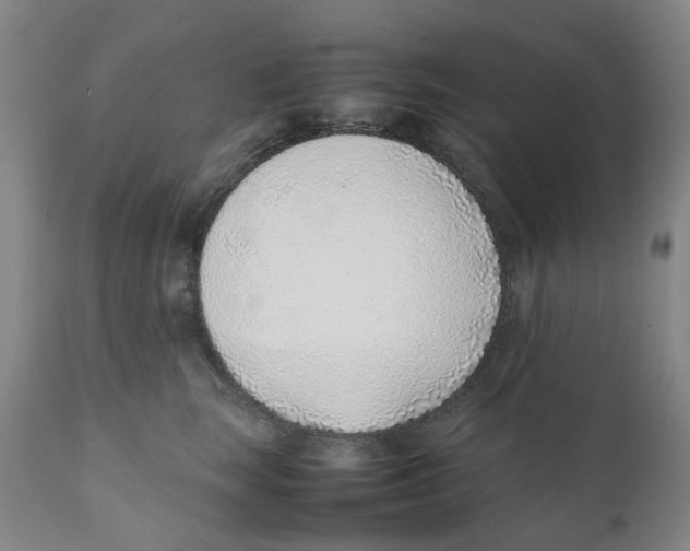 X0000111920663200908241052