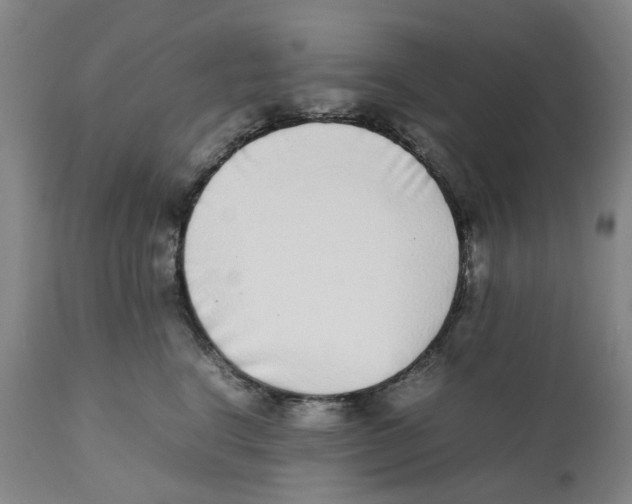 X0000111920664200908241052