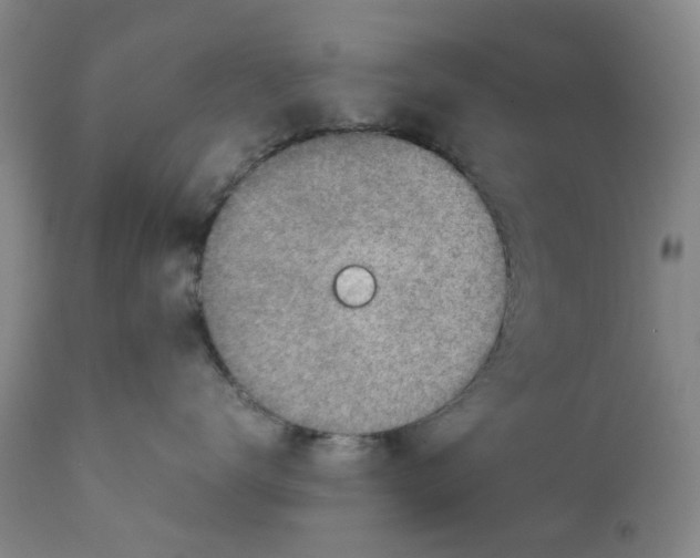 X0000111920672200908241053