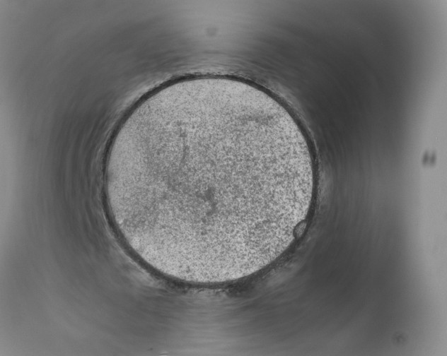 X0000111920673200908241052