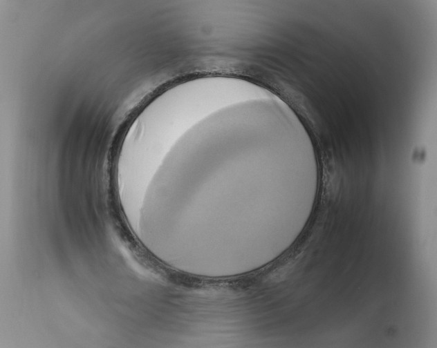 X0000111920674200908241052