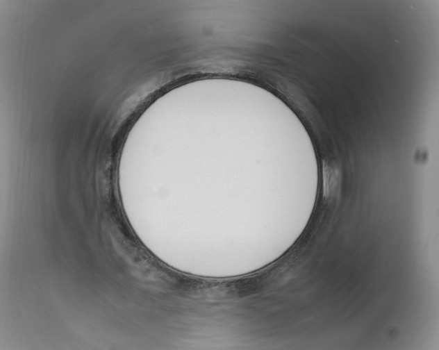 X0000111920675200908241052