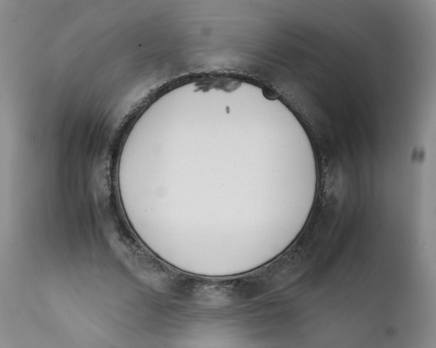 X0000111920680200908241052