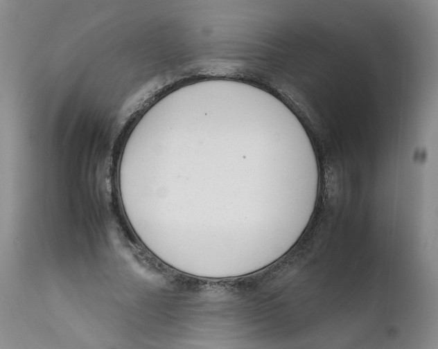 X0000111920682200908241052