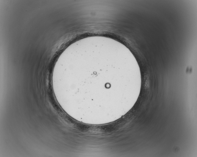 X0000111920685200908241052