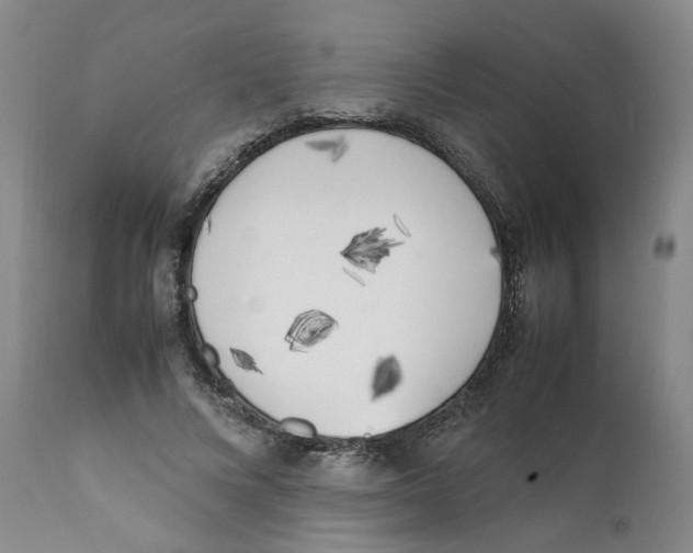 X0000111920688200908241052