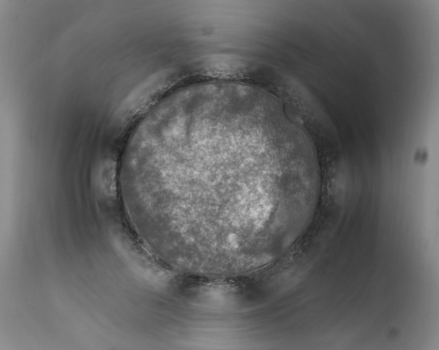 X0000111920696200908241051