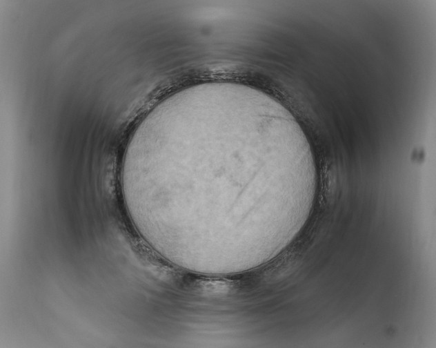 X0000111920698200908241051