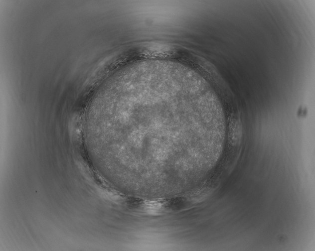 X0000111920701200908241051