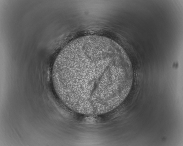 X0000111920703200908241051