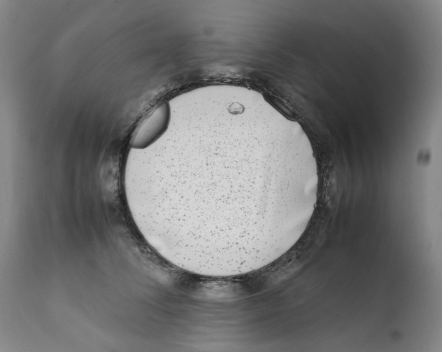 X0000111920708200908241051