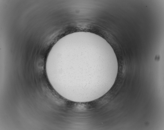 X0000111920710200908241051