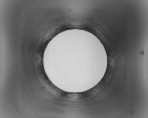 X0000111920711200908241051