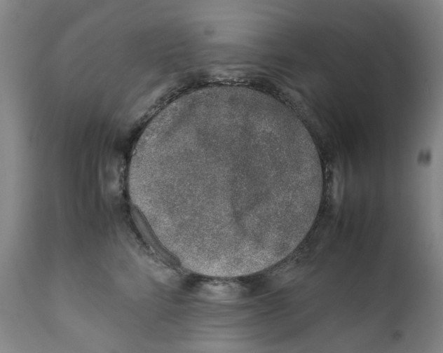 X0000111920712200908241051