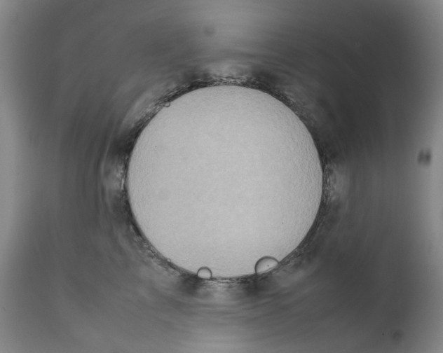 X0000111920713200908241051