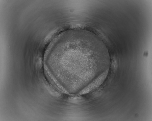 X0000111920716200908241051