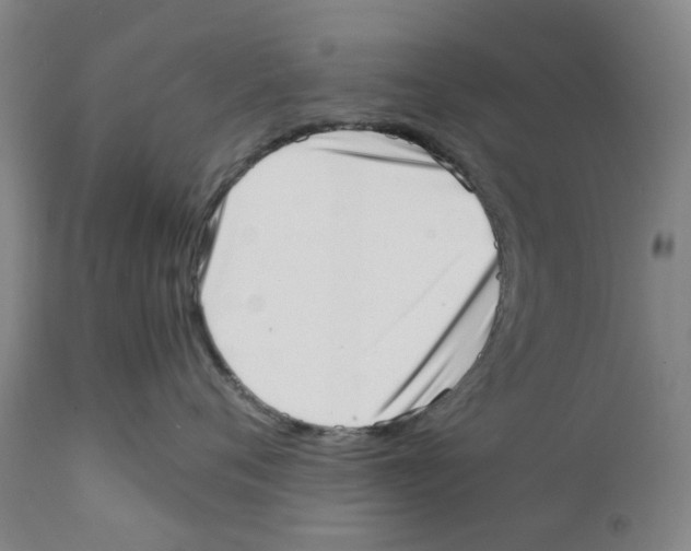 X0000111920720200908241051