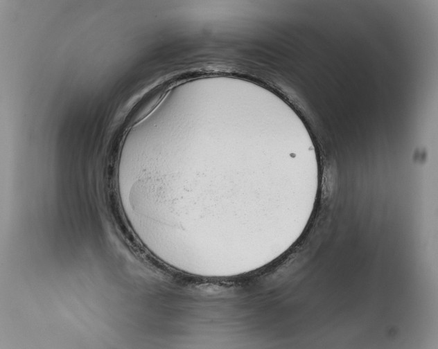 X0000111920722200908241050