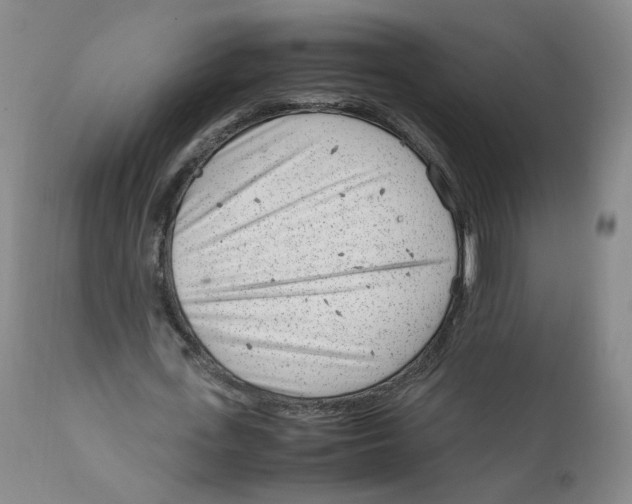 X0000111920723200908241050