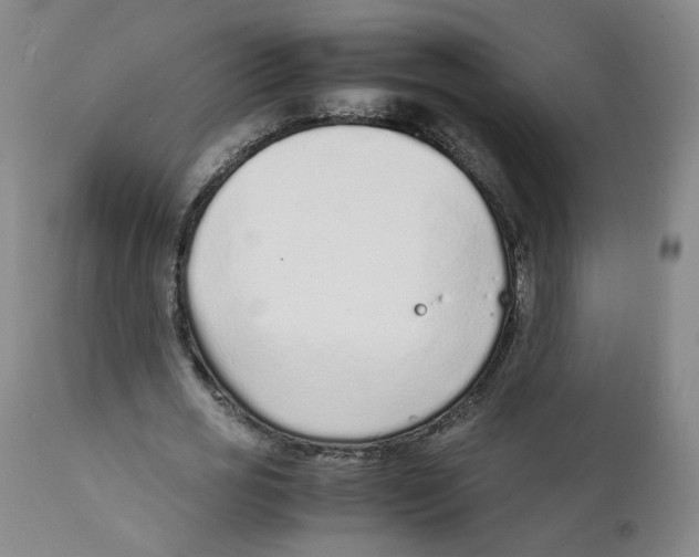 X0000111920725200908241050